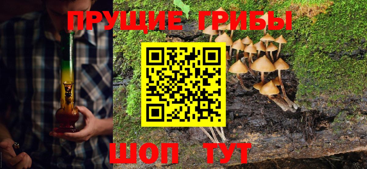Псилоцибиновые грибы Magic Shrooms  Псилоцибиновые грибы прущие грибы  Красноармейск  Вход с VPN 